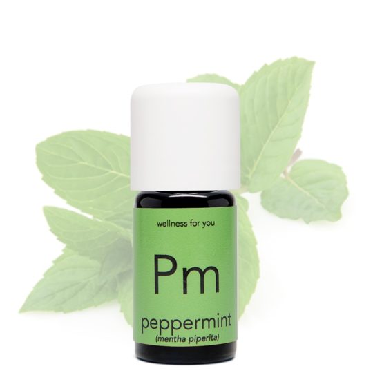 Pfefferminze - peppermint - mentha piperita